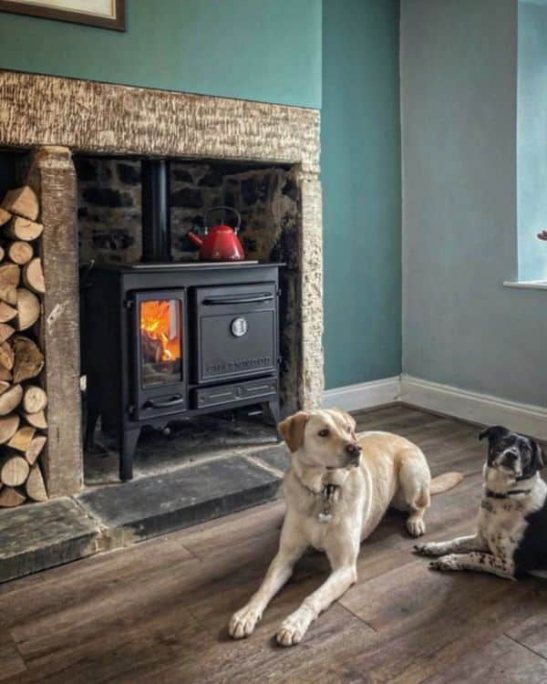 Charnwood Haven fireplace dogs